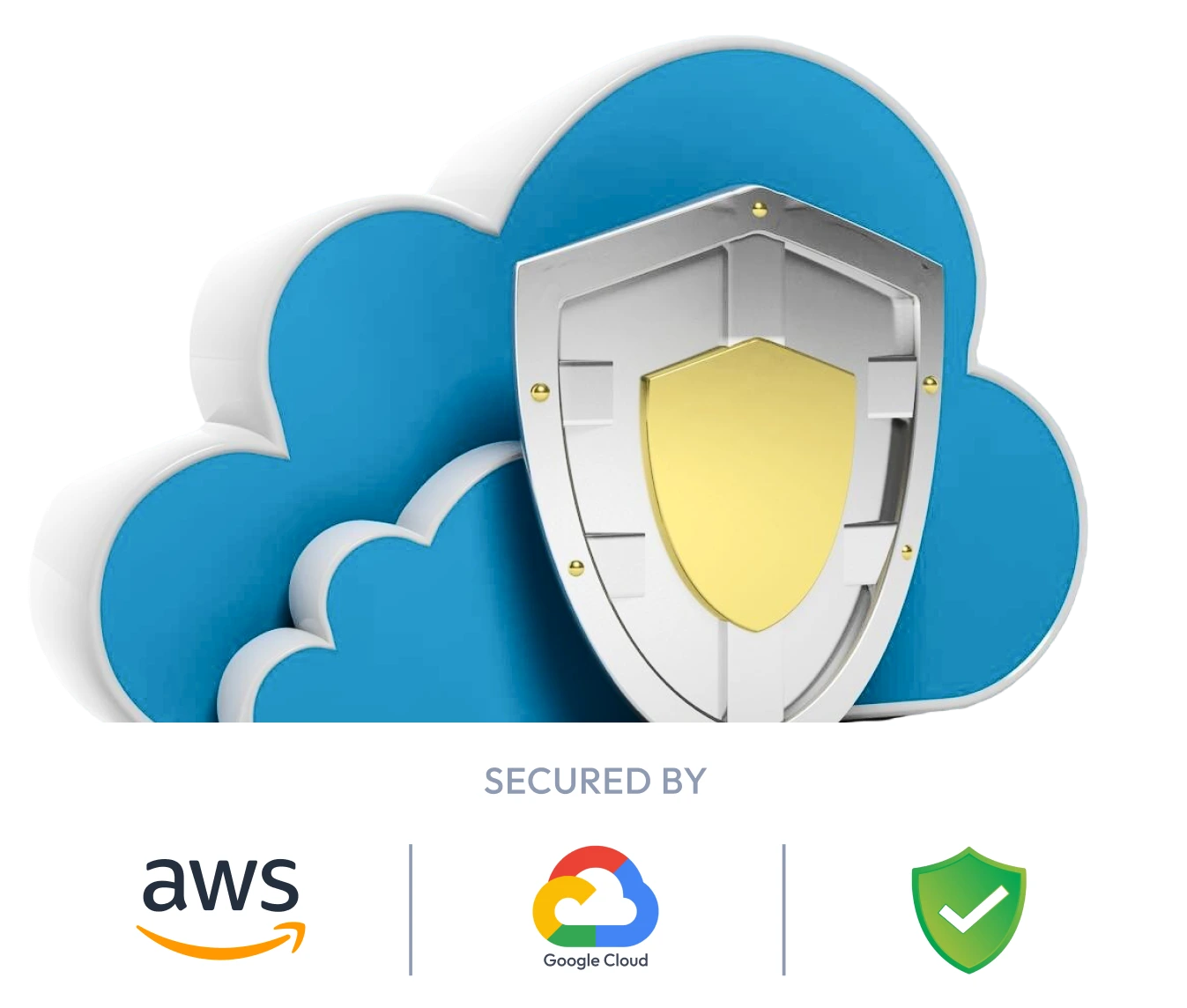 Data Protection with 
                      cloud infrastructure